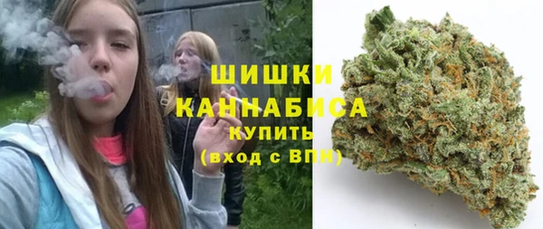 шишки Богородицк